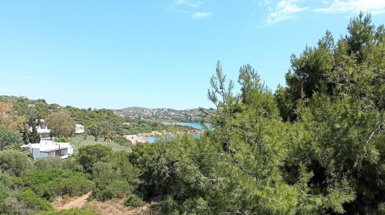 Villa Dea Del Mare Complex In Front Of The Sea. à Cap Cap Sounion Extérieur photo